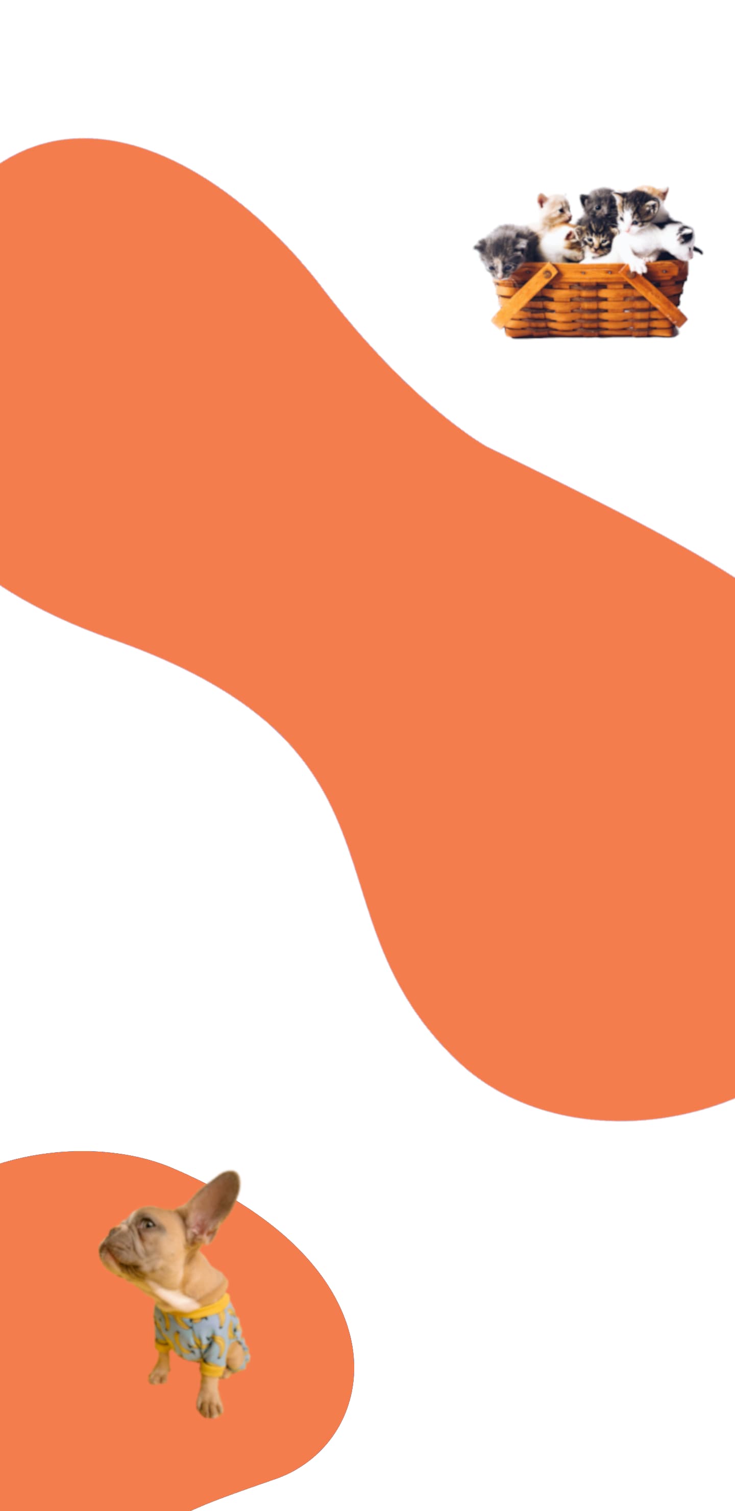 Fondo de veterinaria